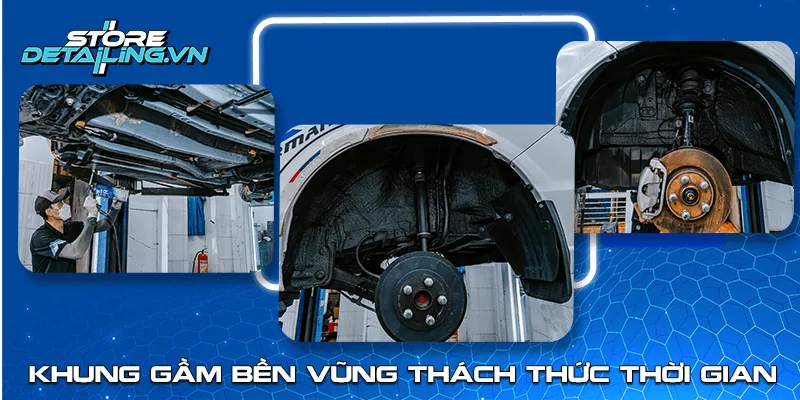 Store Detailing hình ảnh