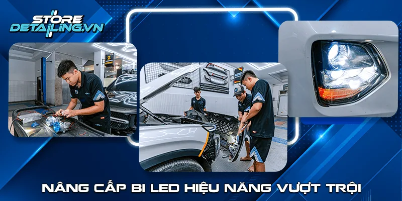 Store Detailing hình ảnh