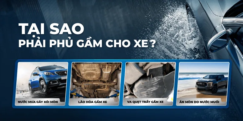 Store Detailing hình ảnh
